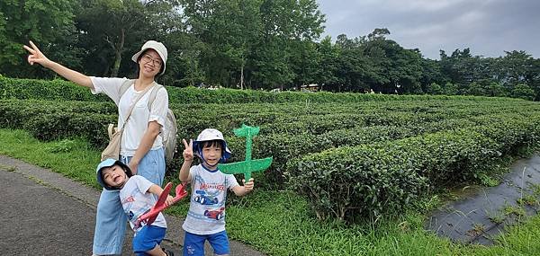 新北 文山農場：歷史悠久茶葉指導所/ 腹地大環境優美/ 文山