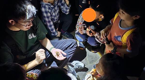 蟲蟲巴斯：陽明山夜間生態導覽/ 螢火蟲大冒險