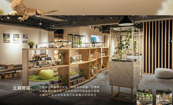 蟲蟲巴斯：陽明山夜間生態導覽/ 螢火蟲大冒險