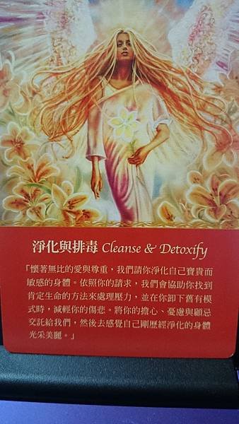 淨化與排毒 Cleanse &amp; Detoxify