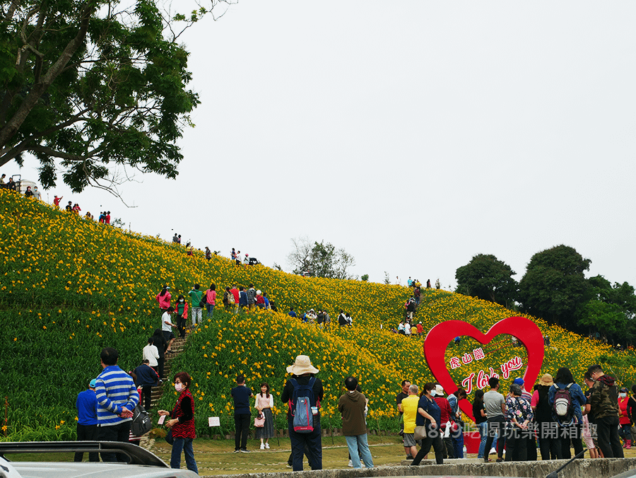 彰化花壇景點虎山巖滿山金針花海大爆發 (1) 拷貝.png