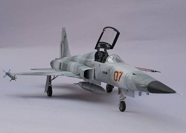 F-5N (31)c