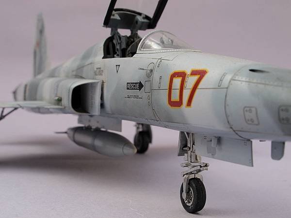 F-5N (24)r