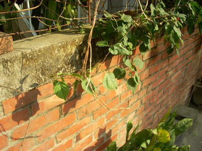 DSCN2522.JPG
