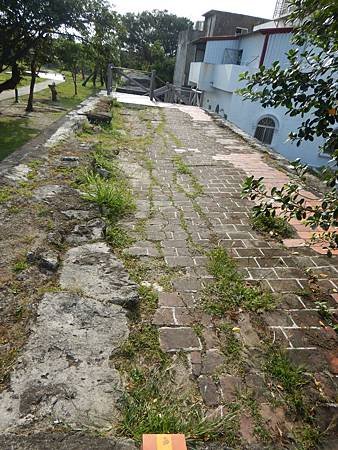 DSCN0983.JPG