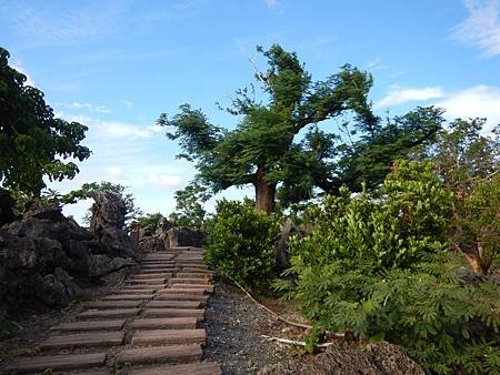 DSCN0988.JPG