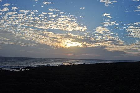 DSC_0124.JPG