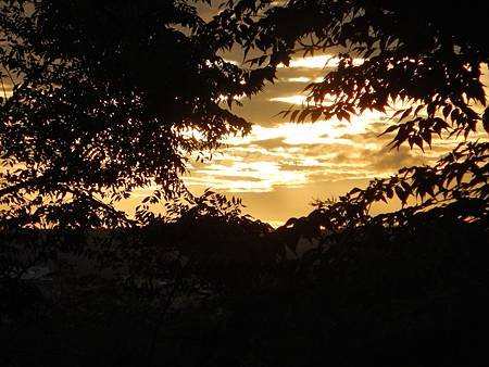 DSCN1225.JPG