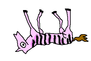 Zebra-001.gif