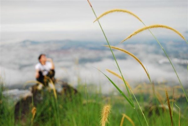 broga hill (48) (Small).JPG