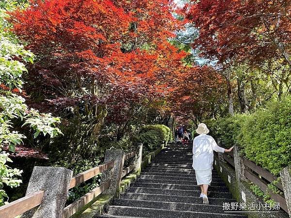 坐擁太平山無敵美景《雲海咖啡廳》海拔2000公尺猶如天上人間