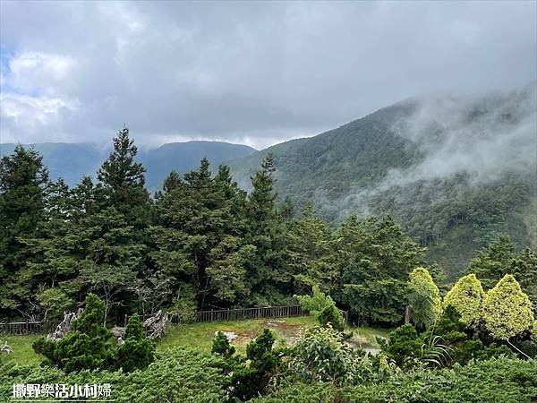 坐擁太平山無敵美景《雲海咖啡廳》海拔2000公尺猶如天上人間