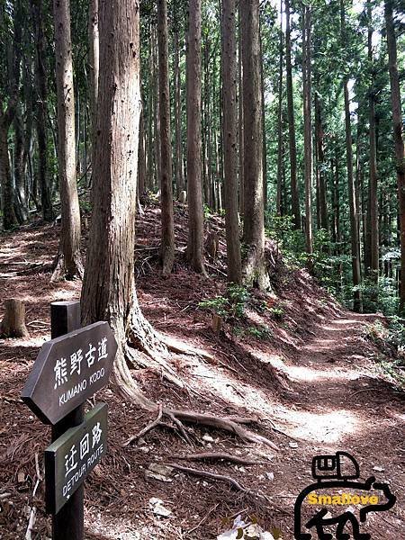 KUMANO00017