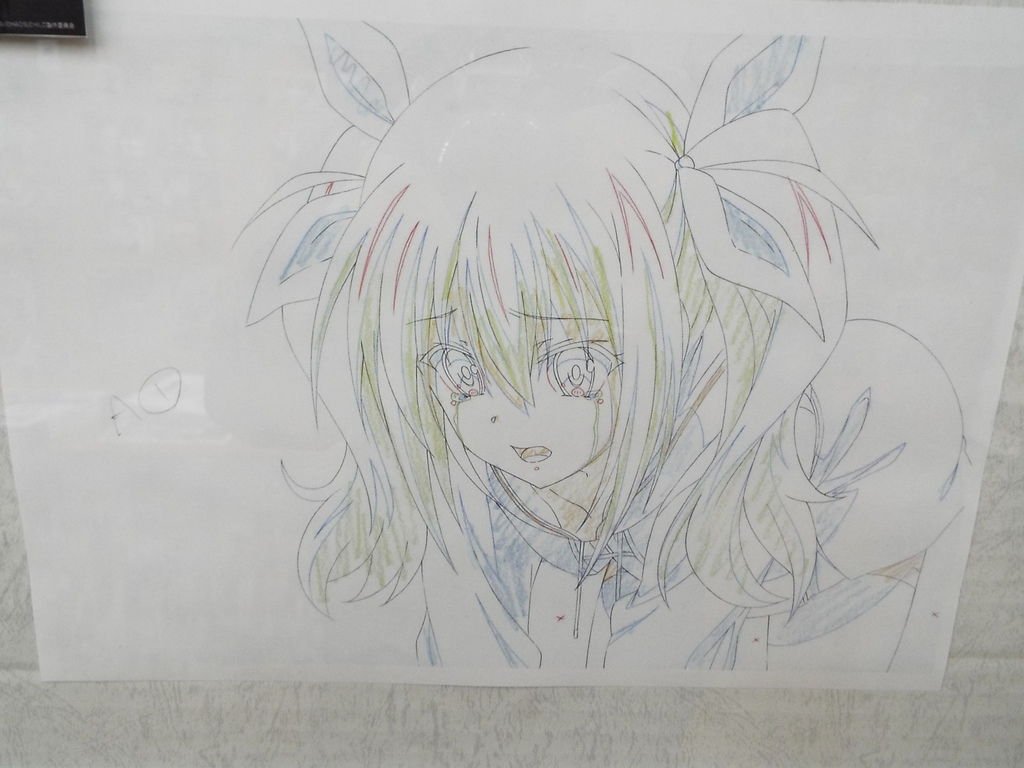 DSCF6260.JPG