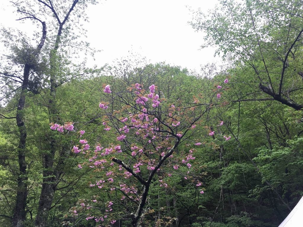 IMG_1809.JPG