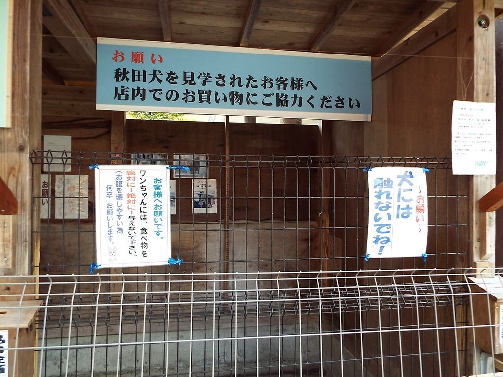 DSCF2194.JPG