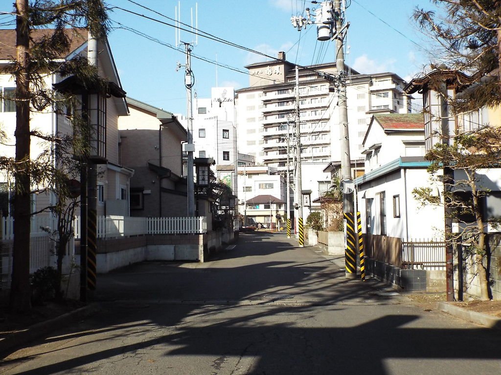 DSCF2956.JPG
