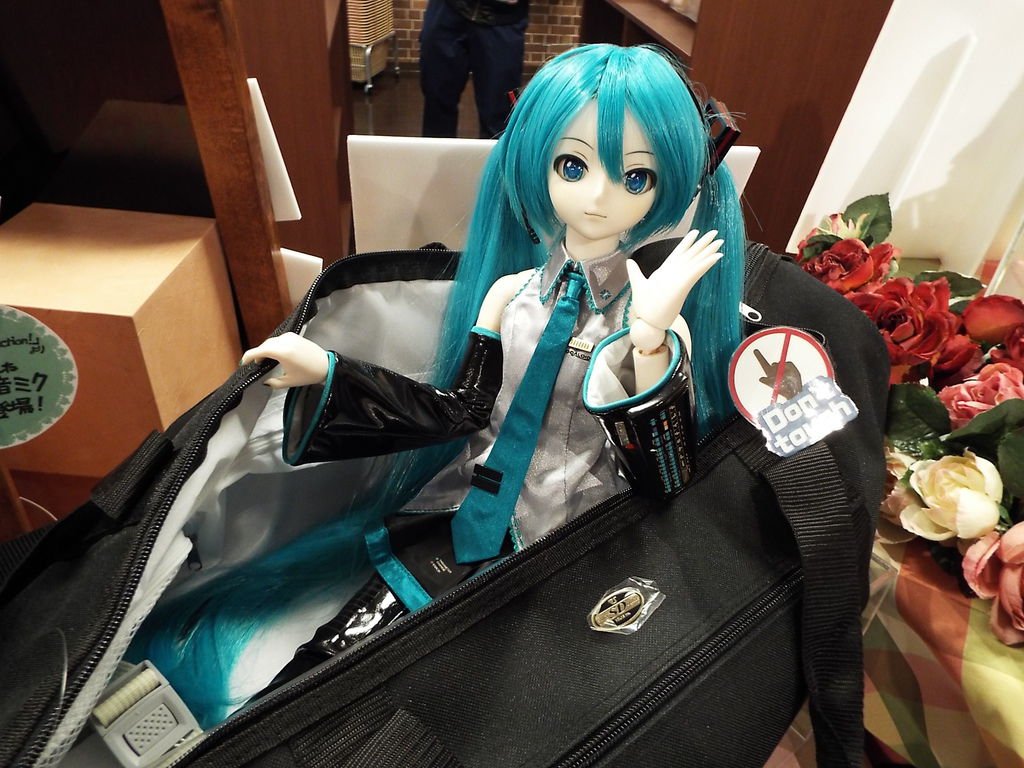 DSCF6129.JPG