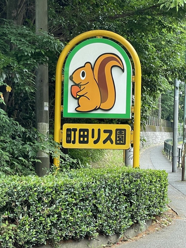 町田リス園