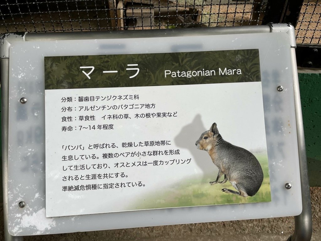 町田リス園