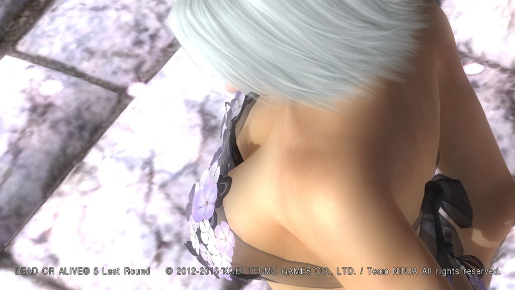 DEAD OR ALIVE 5 Last Round__193.jpeg