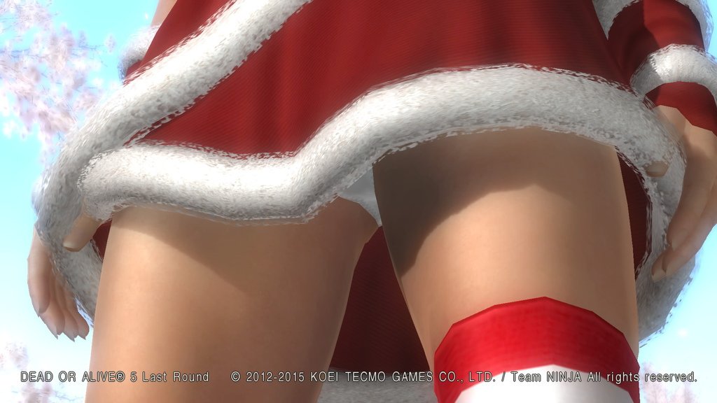 DEAD OR ALIVE 5 Last Round__1052.jpeg