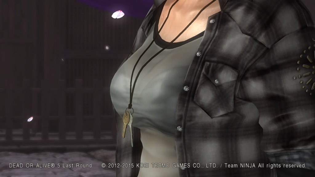 DEAD OR ALIVE 5 Last Round__1083.jpeg