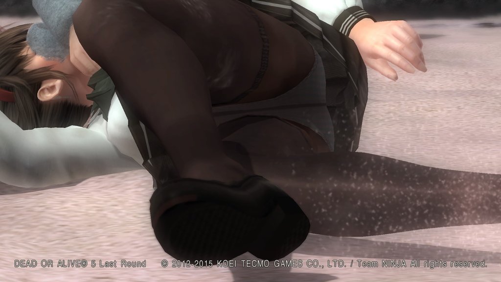 DEAD OR ALIVE 5 Last Round__956.jpeg