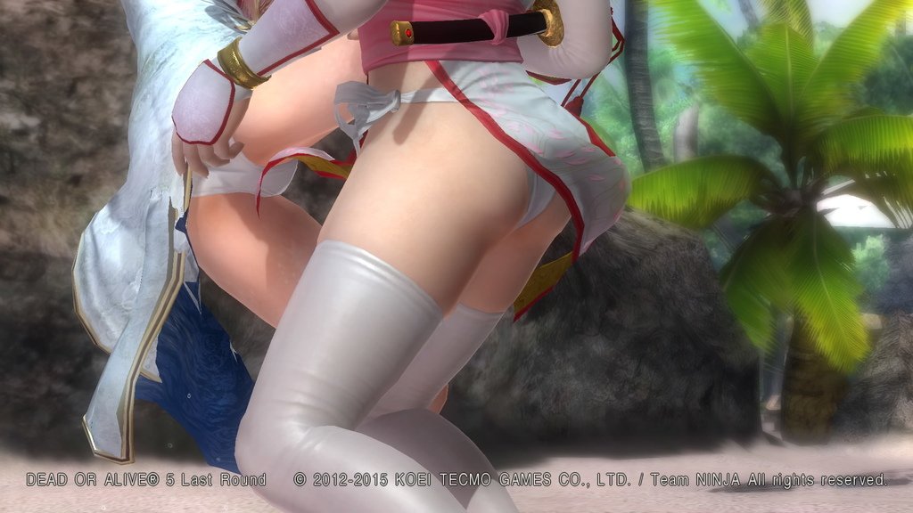 DEAD OR ALIVE 5 Last Round__1284.jpeg