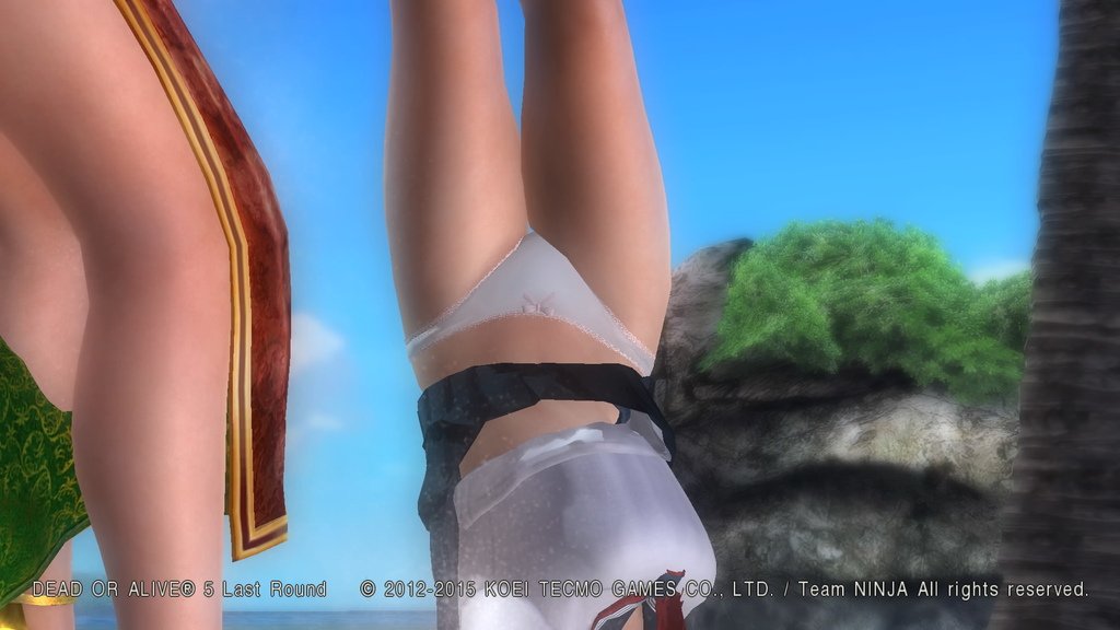 DEAD OR ALIVE 5 Last Round__1317.jpeg