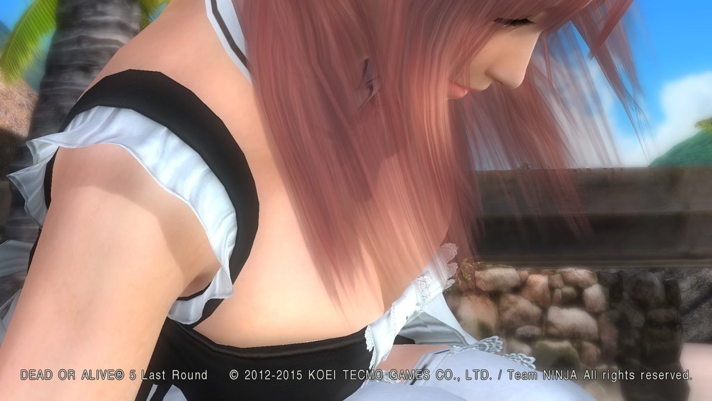 DEAD OR ALIVE 5 Last Round__1868.jpeg