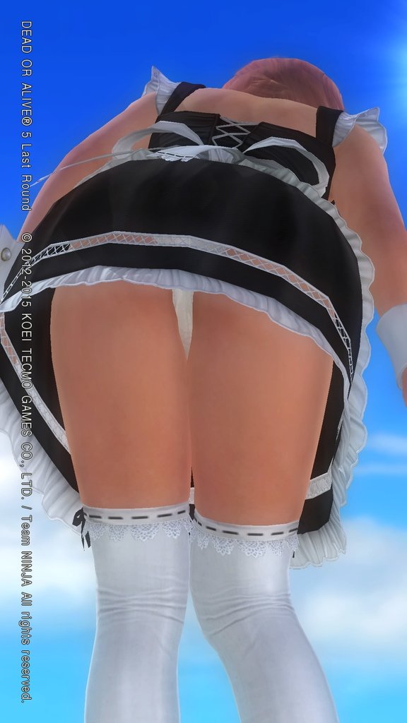 DEAD OR ALIVE 5 Last Round__1882.jpeg