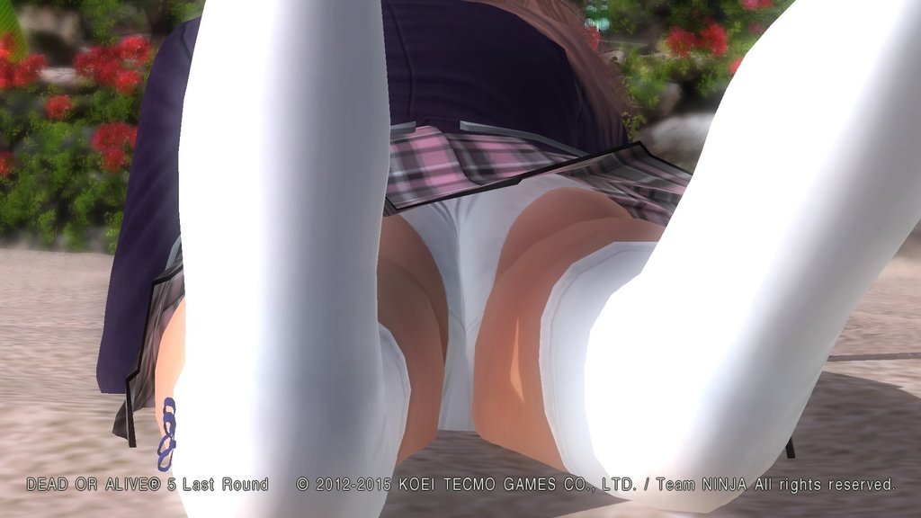 DEAD OR ALIVE 5 Last Round__1890.jpeg