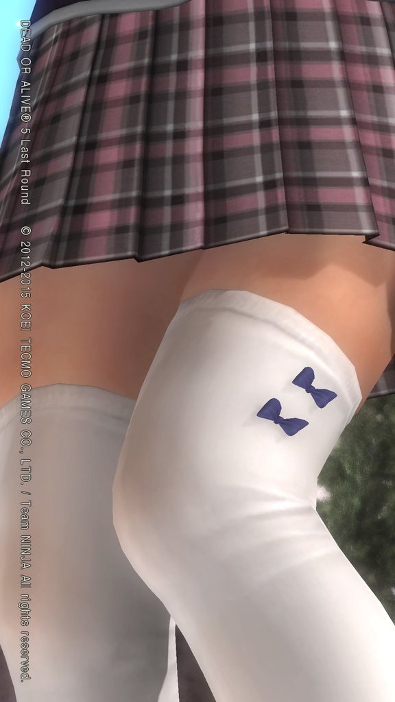 DEAD OR ALIVE 5 Last Round__145.jpeg