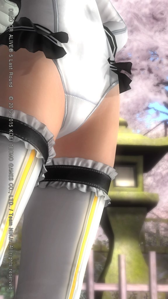 DEAD OR ALIVE 5 Last Round__698.jpeg