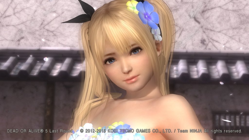 DEAD OR ALIVE 5 Last Round__683.jpeg