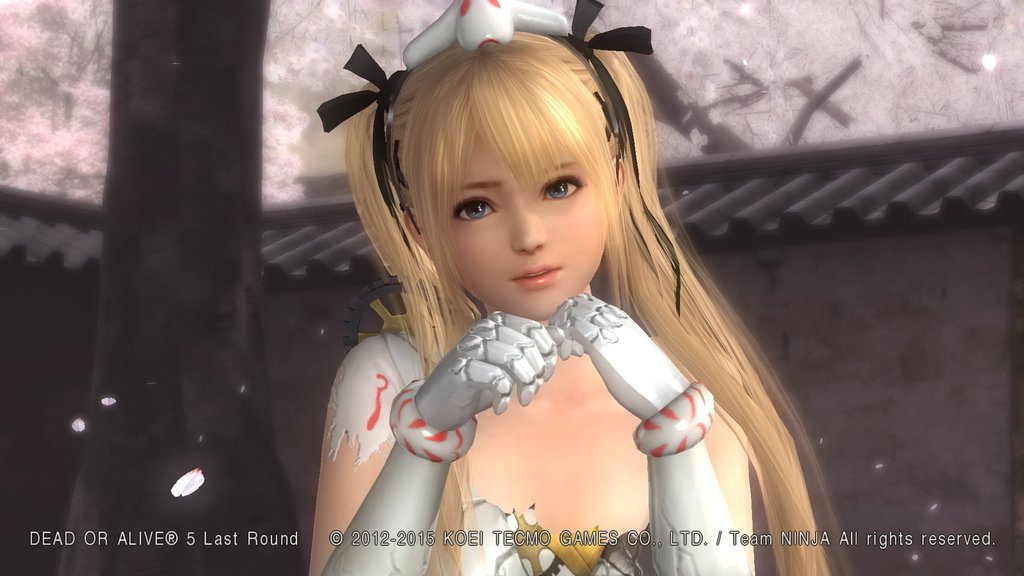 DEAD OR ALIVE 5 Last Round__670.jpeg