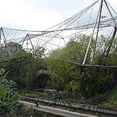 6 London Zoo 倫敦動物園.jpg