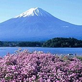 38Mount Fuji富士山.jpg