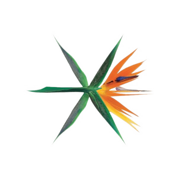 _share_png__exo_the_war__ko_ko_bop__logo_png__2_by_suzykimjaexi-dbfnvem.png