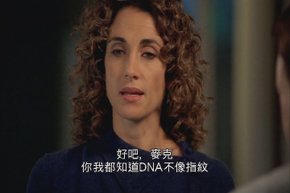 CSI NY 第4季或第5季