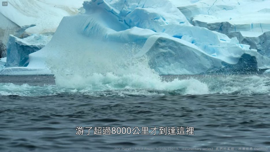 我們的星球 (Our Planet , 2019紀錄片) S1E2 冰凍世界 Frozen Worlds 032----.jpg