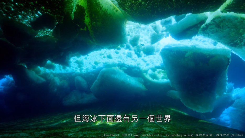 我們的星球 (Our Planet , 2019紀錄片) S1E2 冰凍世界 Frozen Worlds 024---.jpg