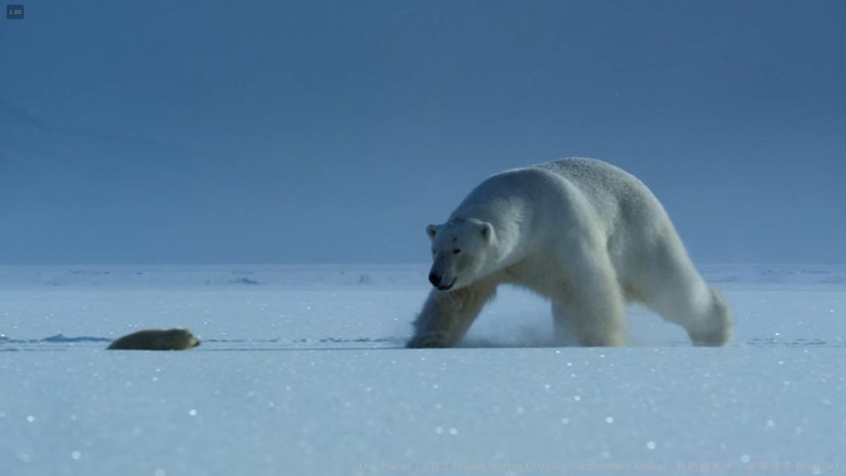 我們的星球 (Our Planet , 2019紀錄片) S1E2 冰凍世界 Frozen Worlds 095---.jpg