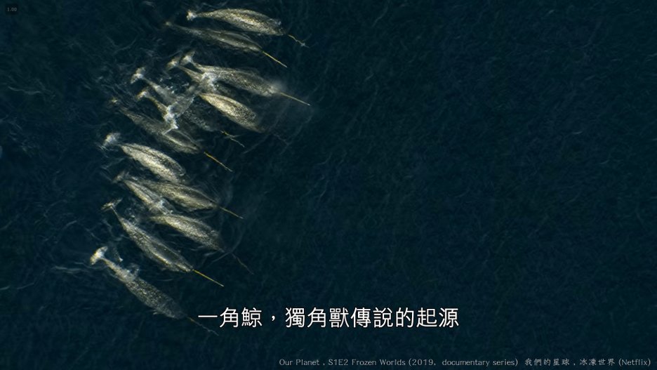 我們的星球 (Our Planet , 2019紀錄片) S1E2 冰凍世界 Frozen Worlds 119----.jpg