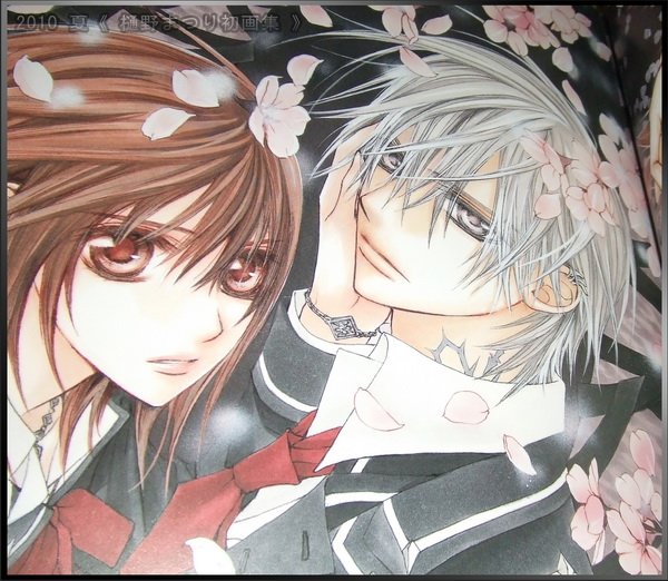 2011VampireKnight_bracelet_necklace11.jpg