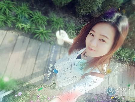 201636 臺中心之芳挺紅巢燒肉_9058.jpg