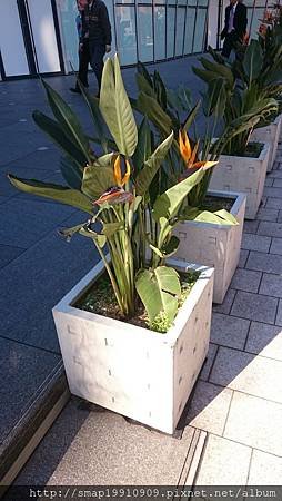 20151228-21.JPG