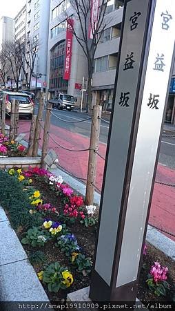 20151229-6.JPG