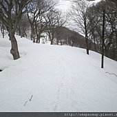 020.只能跟著前人的腳步走